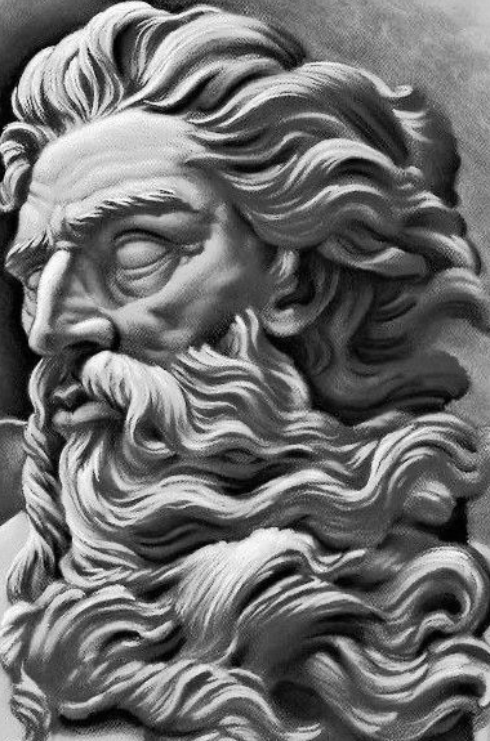 Professional Photography for Fitness Gear