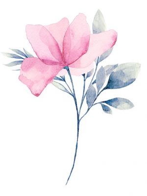 Food and Beverage Photography for Marketing